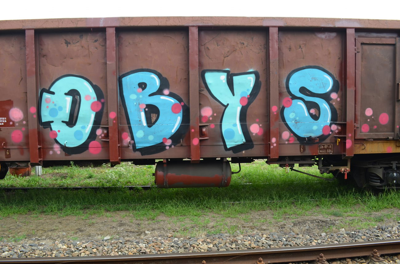 Graffiti Train - Photo by Hall3rOT - OBYS