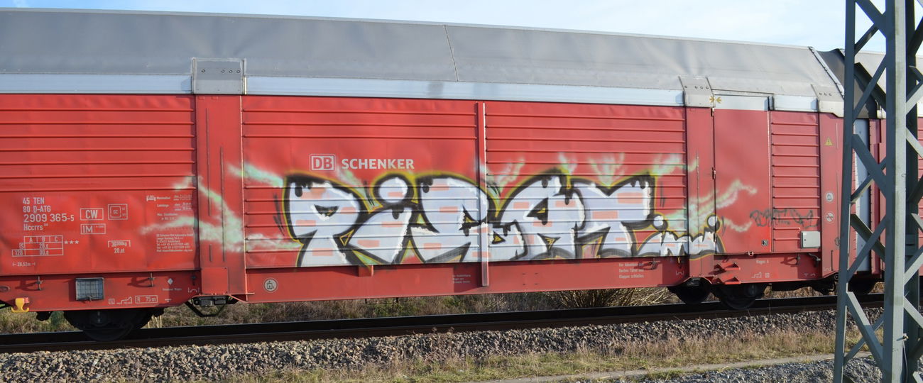 Graffiti Train - Photo by Hall3rOT - PIRAT.INUI
