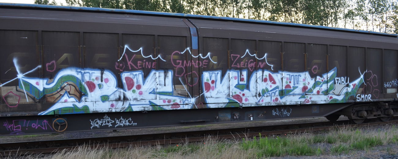 Graffiti Train - Photo by Hall3rOT - BK, KGZ