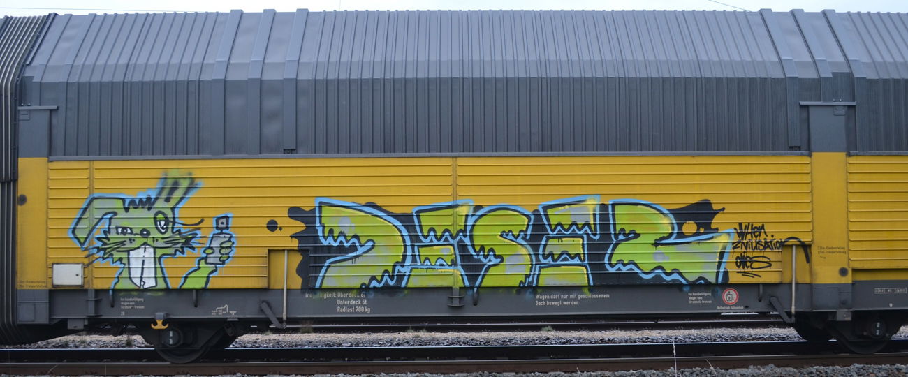 Graffiti Train - Photo by Hall3rOT - DESER