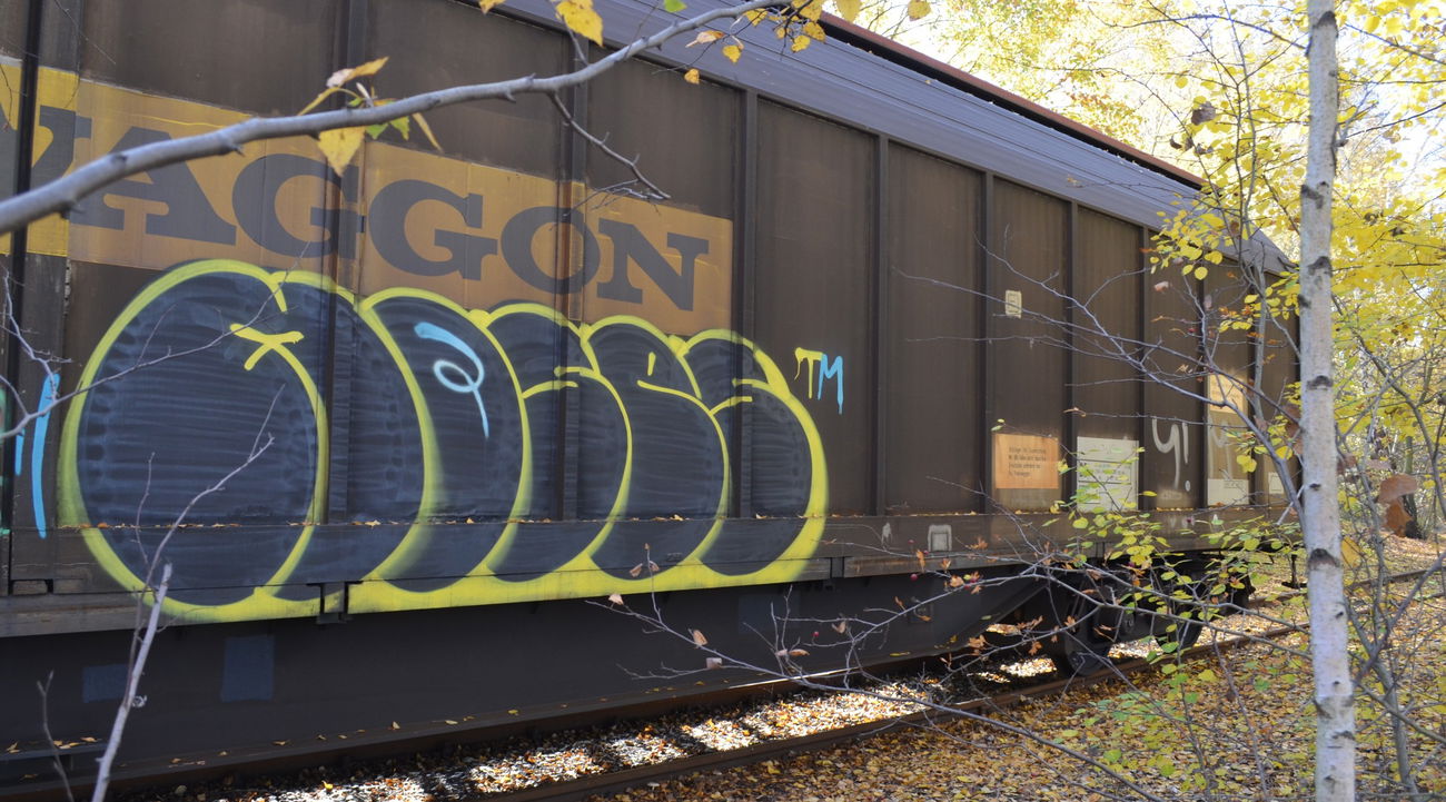 Graffiti Train - Photo by Hall3rOT - MOSES
