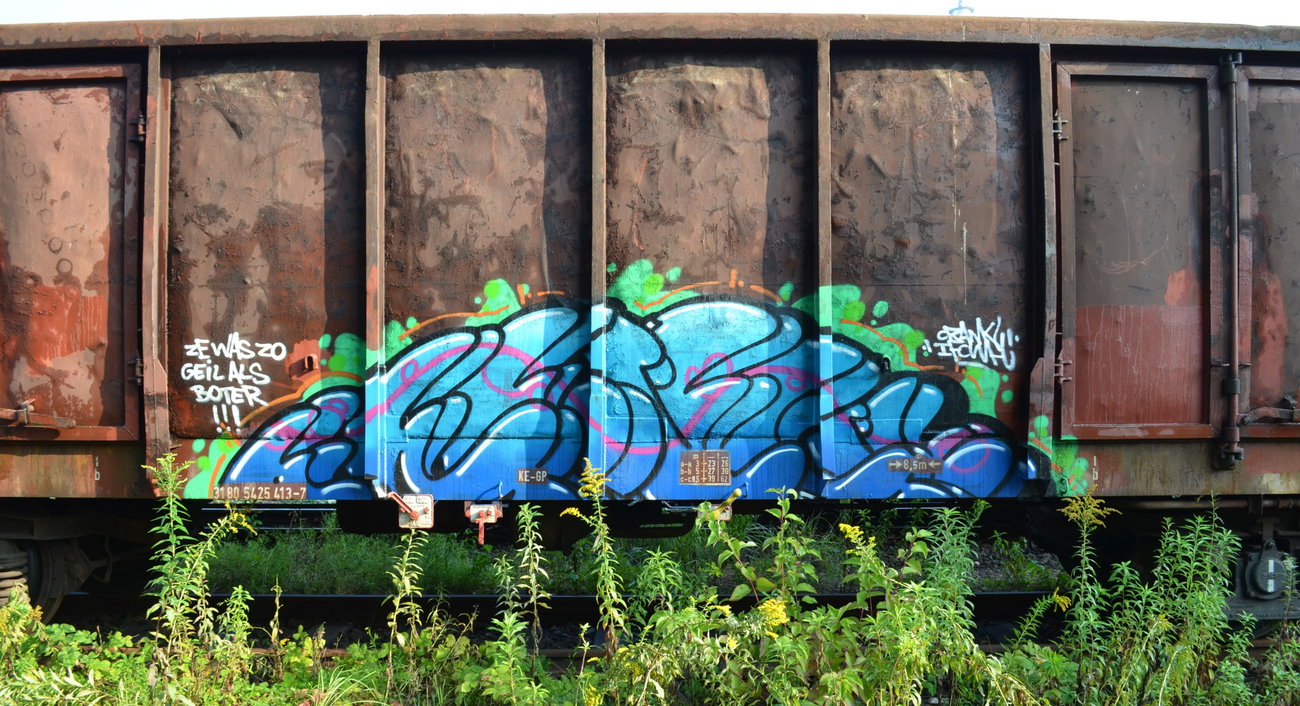 Graffiti Train - Photo by Hall3rOT