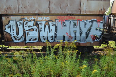 Graffiti Train - Photo by Hall3rOT - USW, HAYF, CREW (2014)