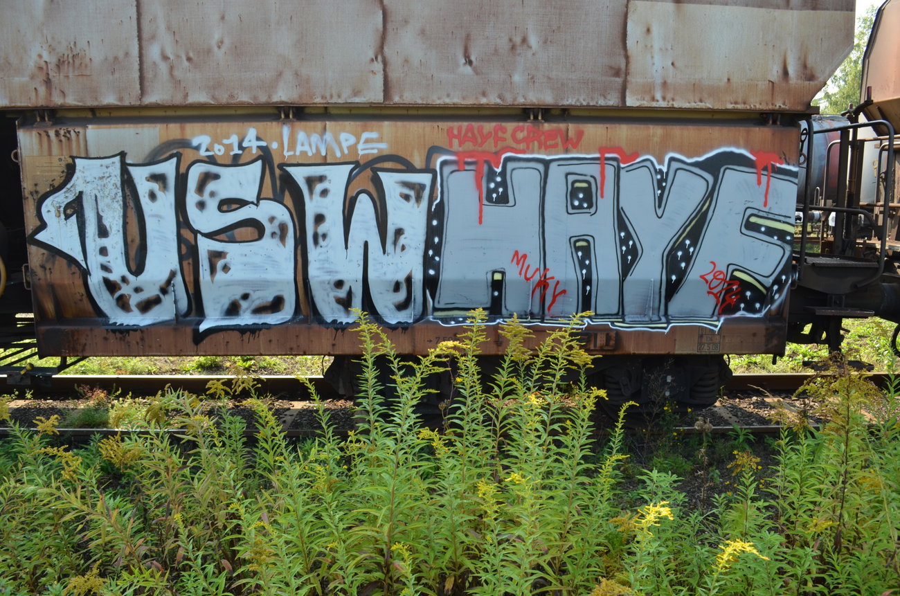 Graffiti Train - Photo by Hall3rOT - USW, HAYF, CREW (2014)