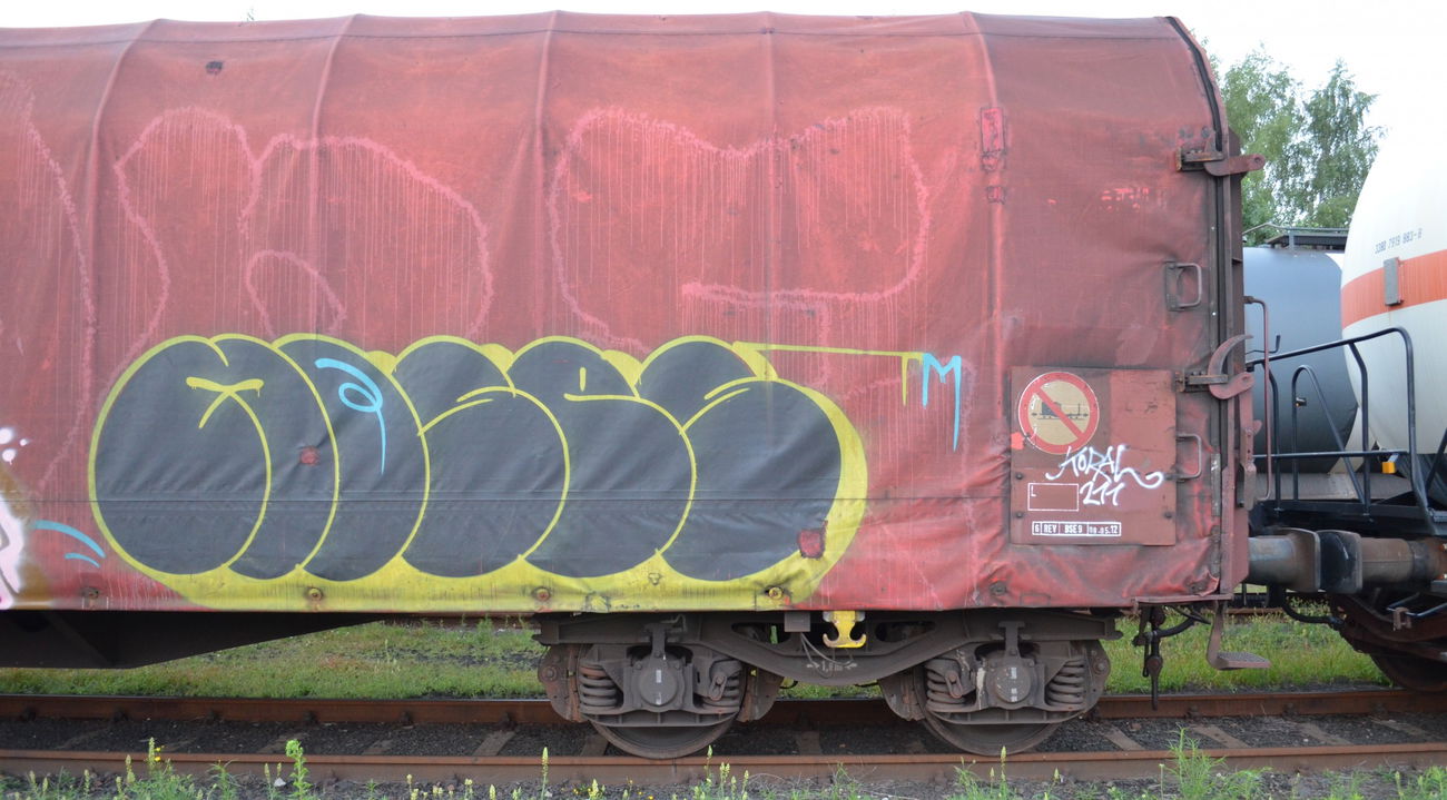Graffiti Train - Photo by Hall3rOT - MOSES