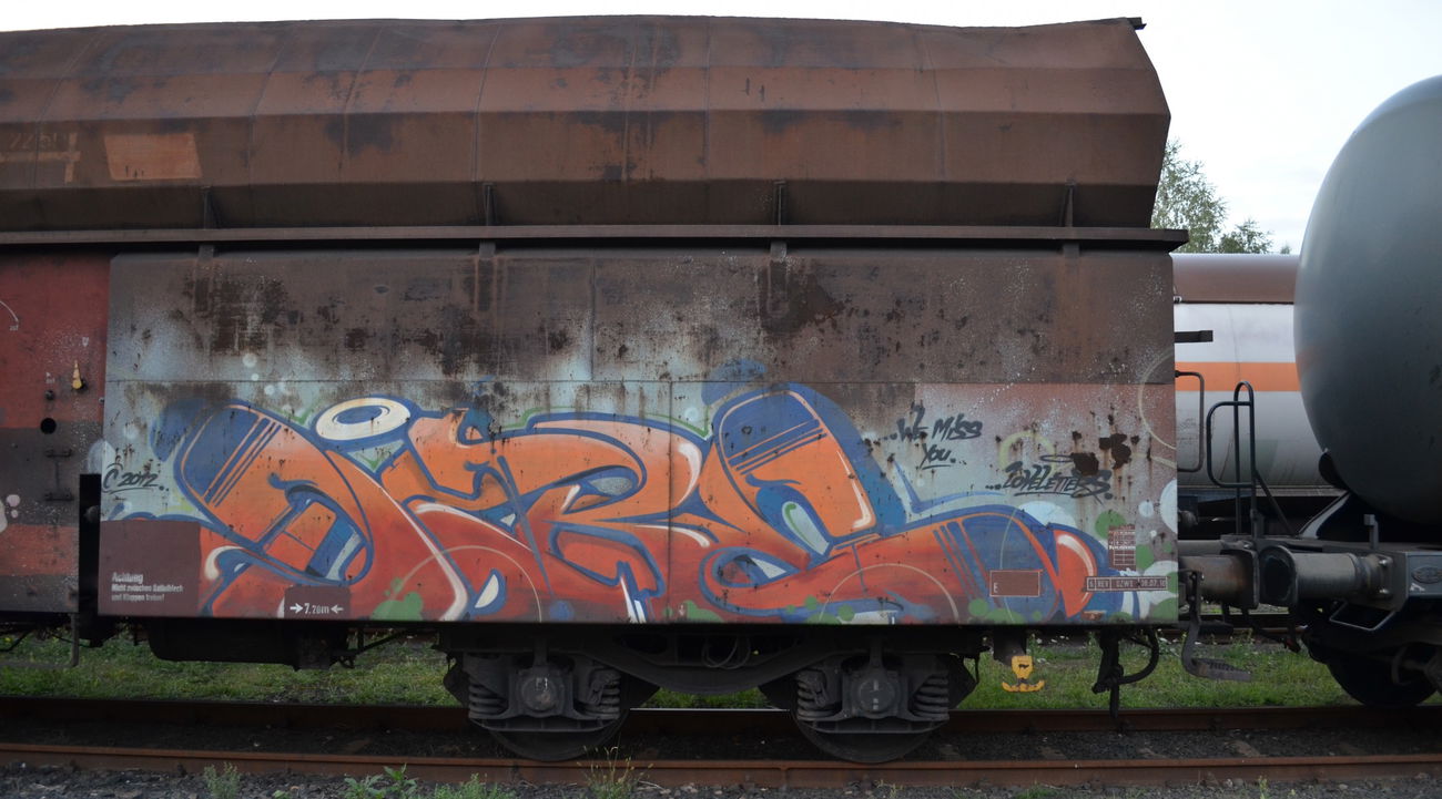 Graffiti Train - Photo by Hall3rOT - DARE (2012)