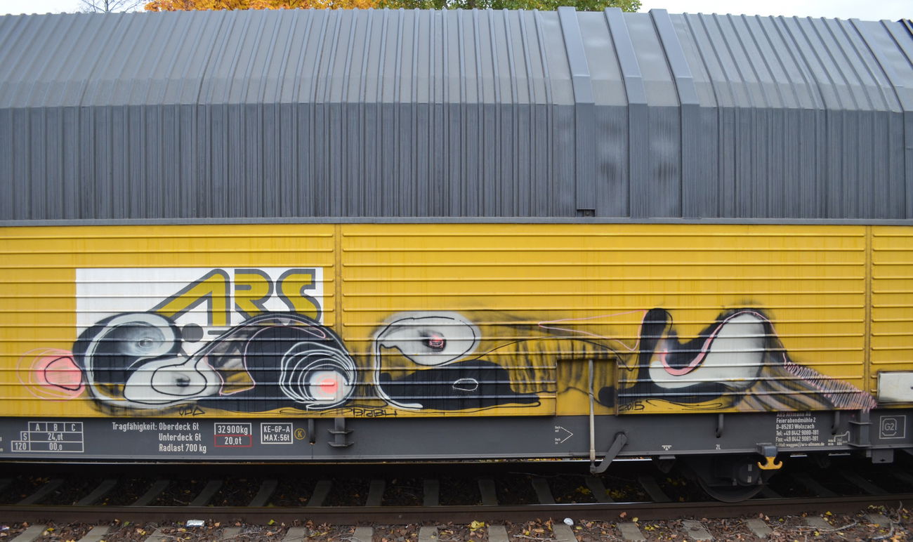 Graffiti Train - Photo by Hall3rOT - BABU (2015)
