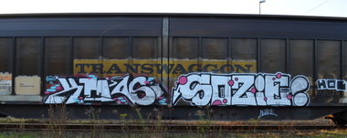 Graffiti Train - Photo by Hall3rOT - HMAS, SOZIE