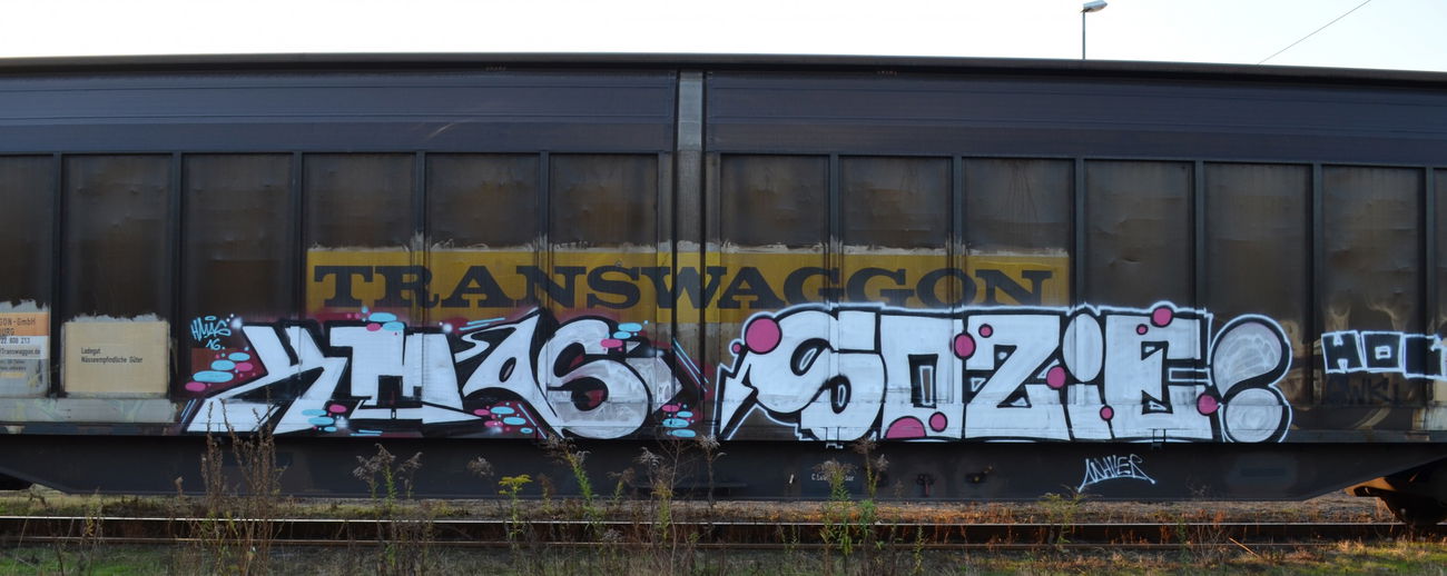 Graffiti Train - Photo by Hall3rOT - HMAS, SOZIE