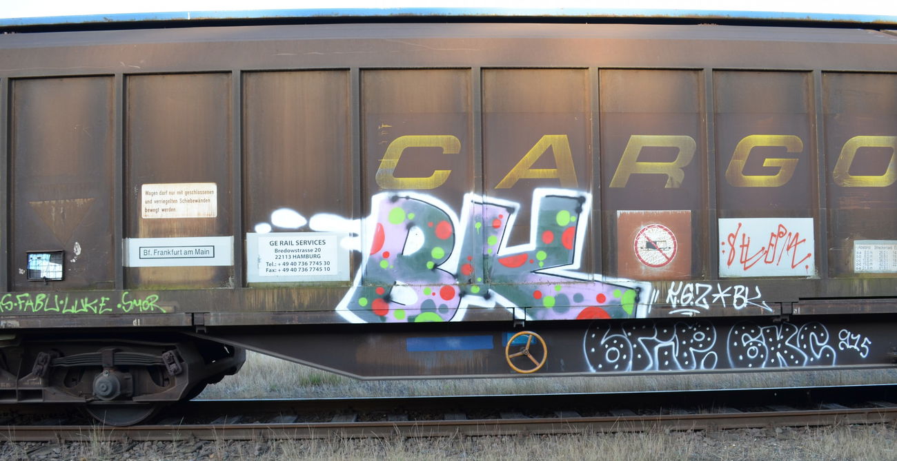 Graffiti Train - Photo by Hall3rOT - BK