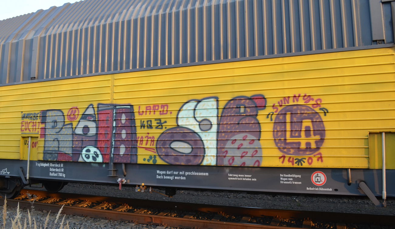 Graffiti Train - Photo by Hall3rOT - LAPD