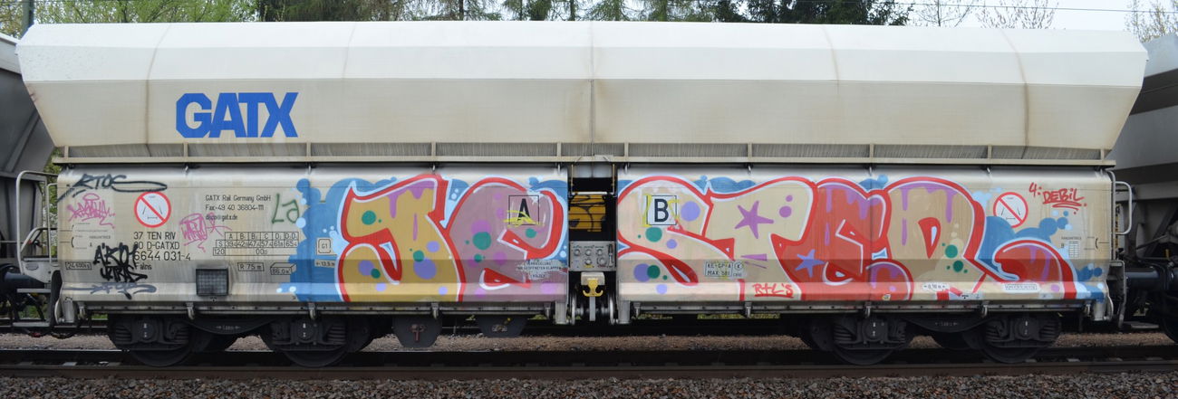 Graffiti Train - Photo by Hall3rOT - JESTER