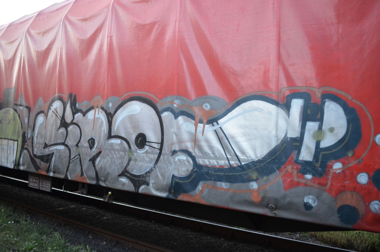 Graffiti Train - Photo by Hall3rOT - SIROF