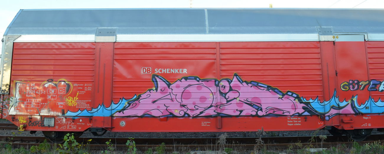 Graffiti Train - Photo by Hall3rOT - AGIL