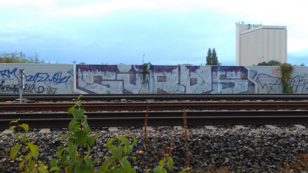 Graffiti Bombing - Photo by Hallunken - Güros