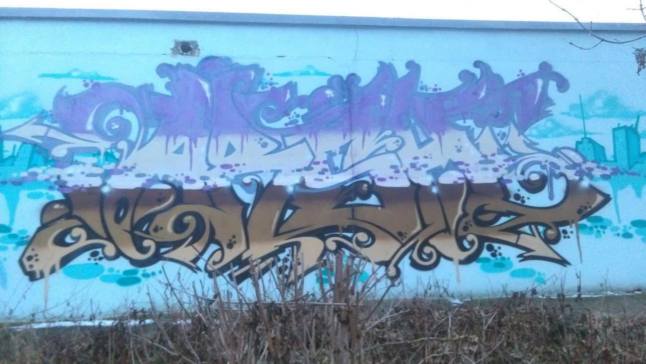 Graffiti Wall - Photo by Hallunken - ARSH