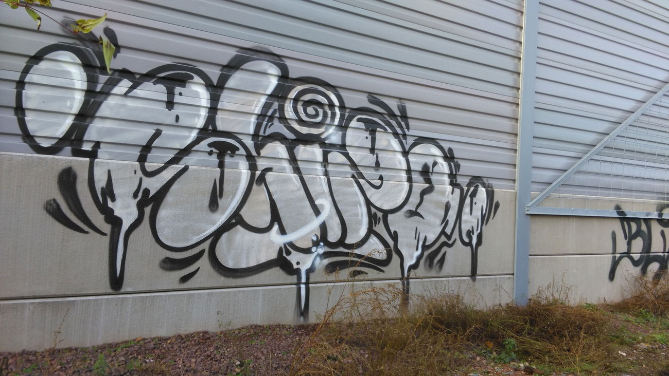 Graffiti Bombing - Photo by Hallunken - Shizo (2016)