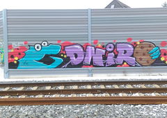 Graffiti Wall - Photo by Hallunken - DNIRO (2016)