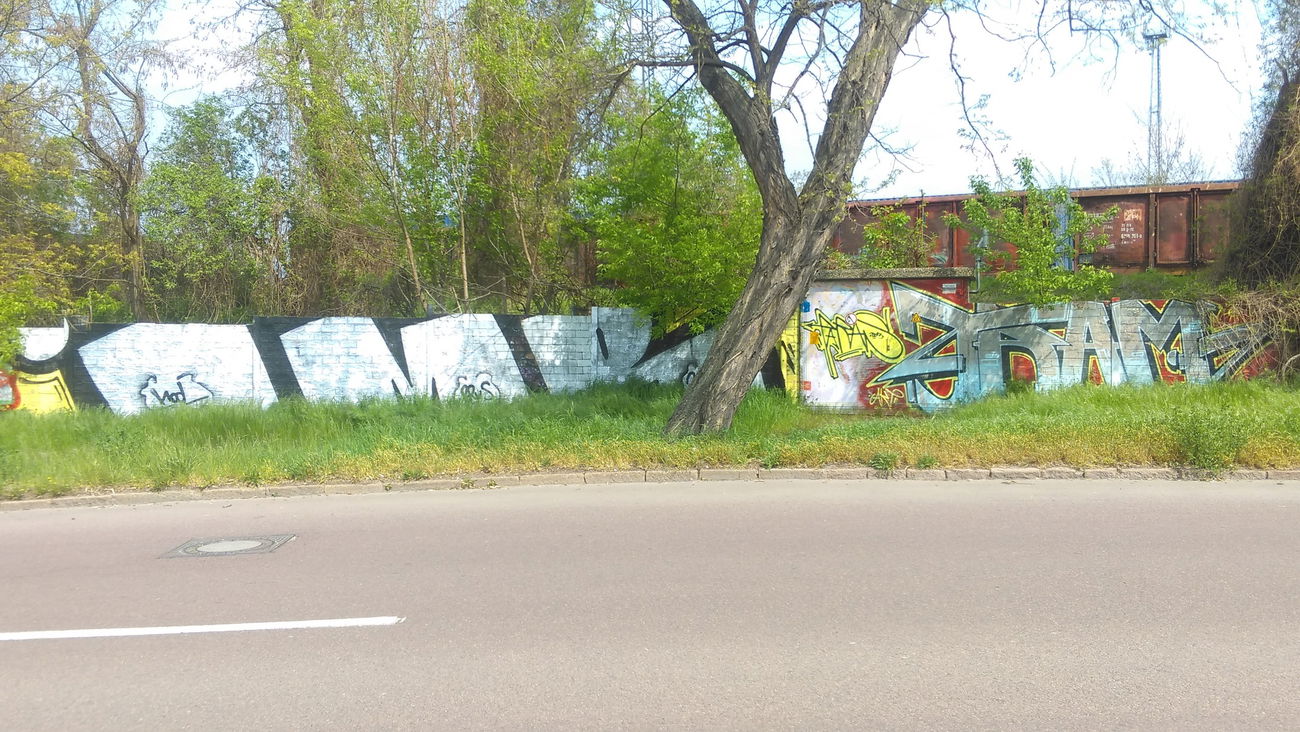 Graffiti Wall - Photo by Hallunken - IMR (2017)