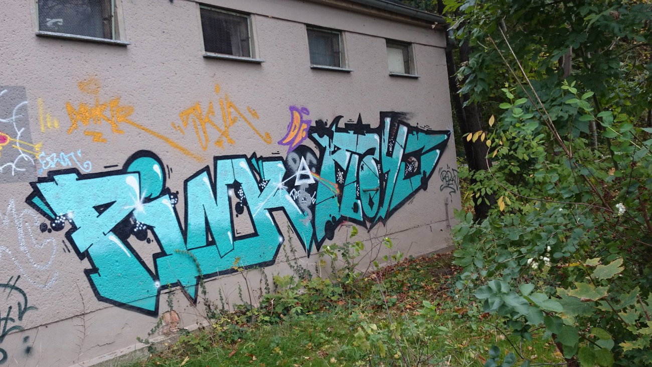 Graffiti Wall - Photo by Hallunken - Pink, Floid (2014)
