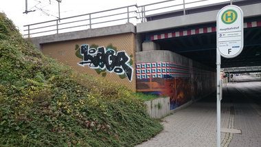 Graffiti Bombing - Photo by Hallunken - Lagr (2014)