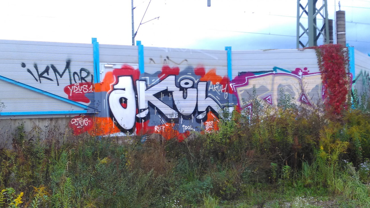 Graffiti Wall - Photo by Hallunken - akul (2016)