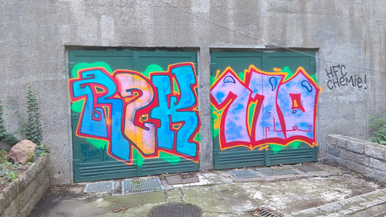 Graffiti Wall - Photo by Hallunken - RZK, 110 (2016)