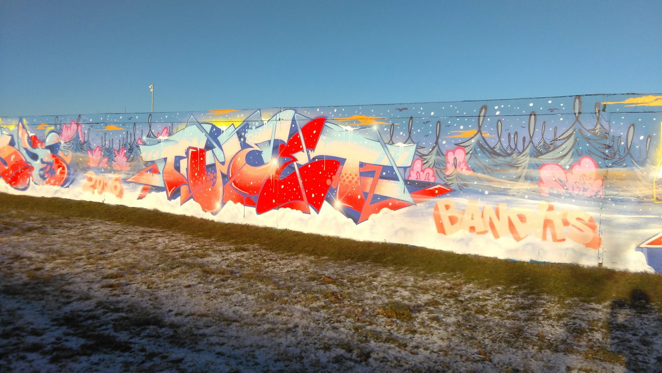 Graffiti Wall - Photo by Hallunken - Tweet (2016)