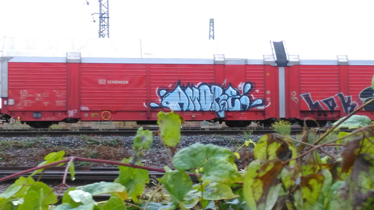 Graffiti Train - Photo by Hallunken - AMORE (2016)