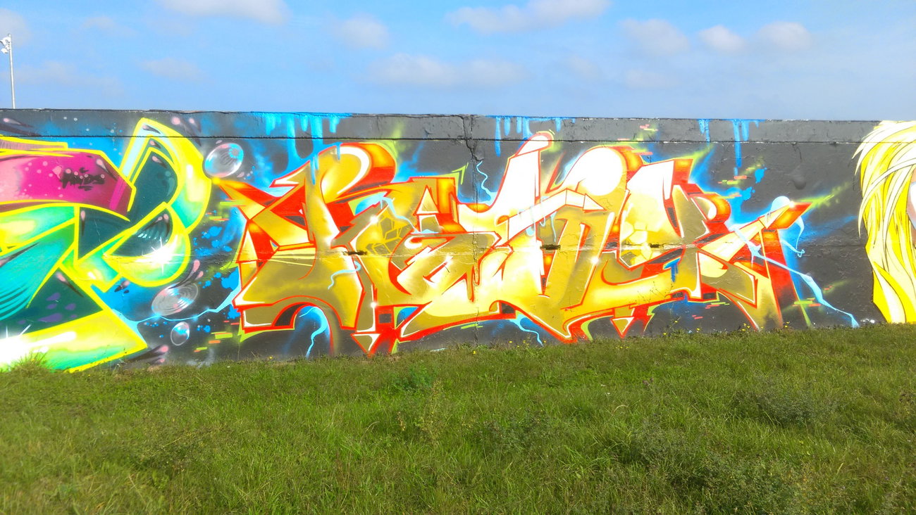 Graffiti Wall - Photo by Hallunken - RO??X (2016)