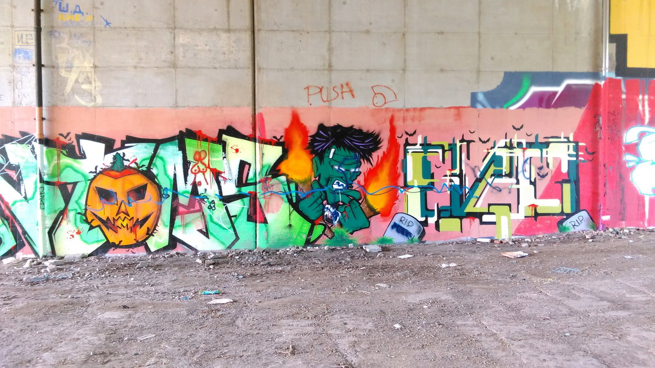 Graffiti Wall - Photo by Hallunken - Elac (2015)