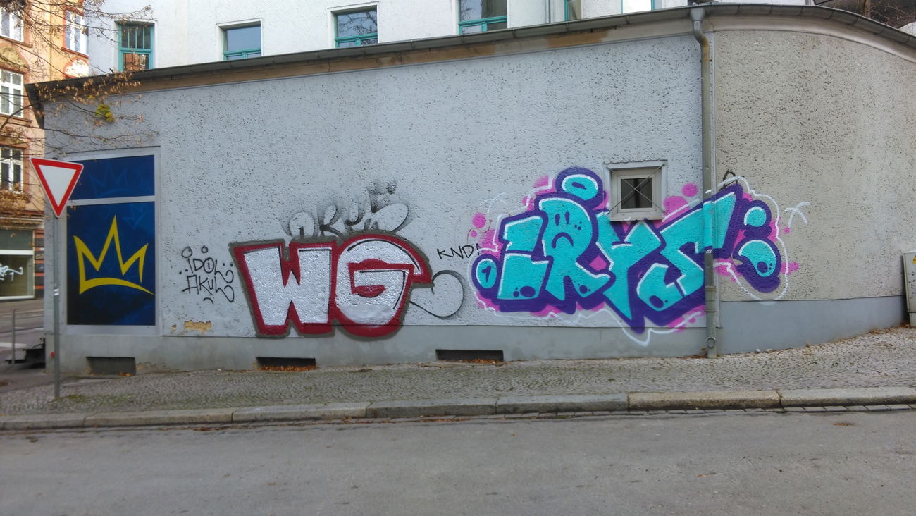 Graffiti Bombing - Photo by Hallunken - WG, LRYS (2016)