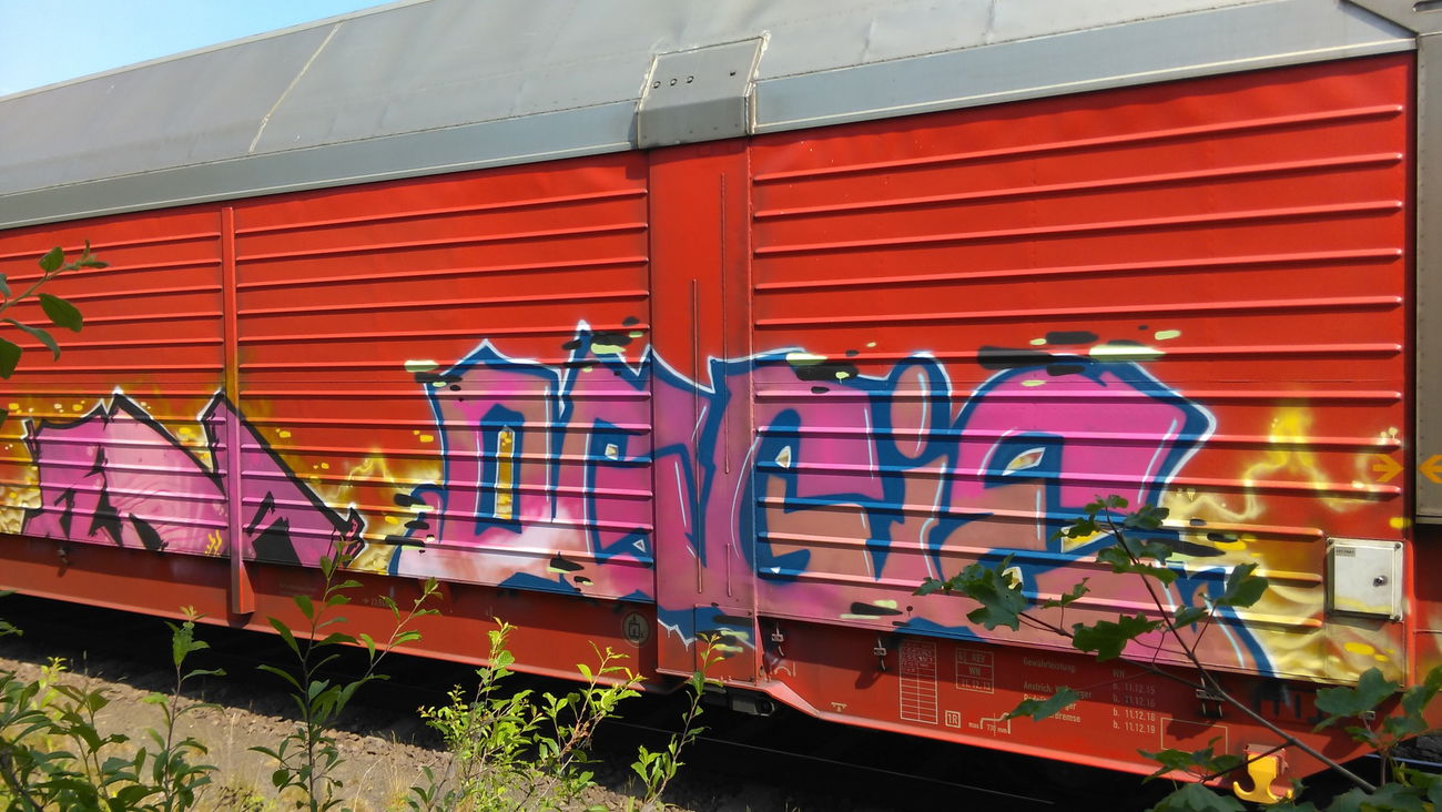 Graffiti Train - Photo by Hallunken - OGGIE