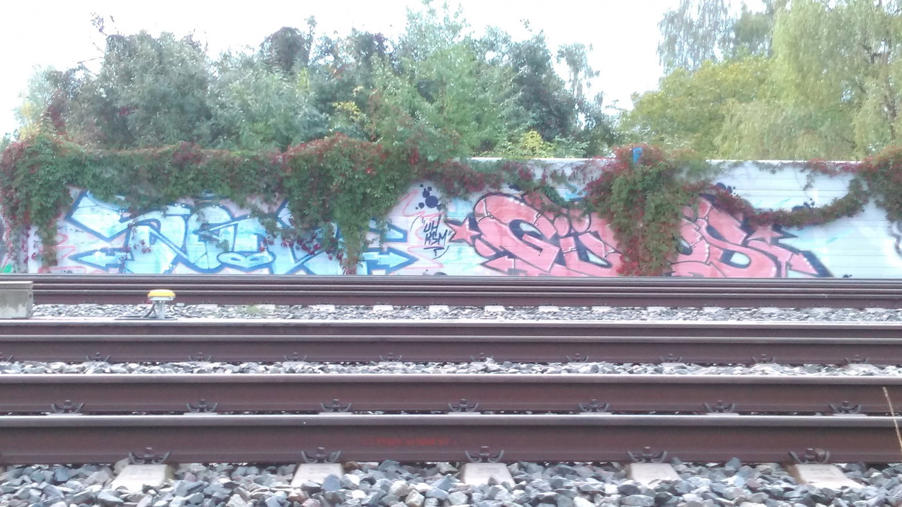 Graffiti Wall - Photo by Hallunken - Sone, Gyros