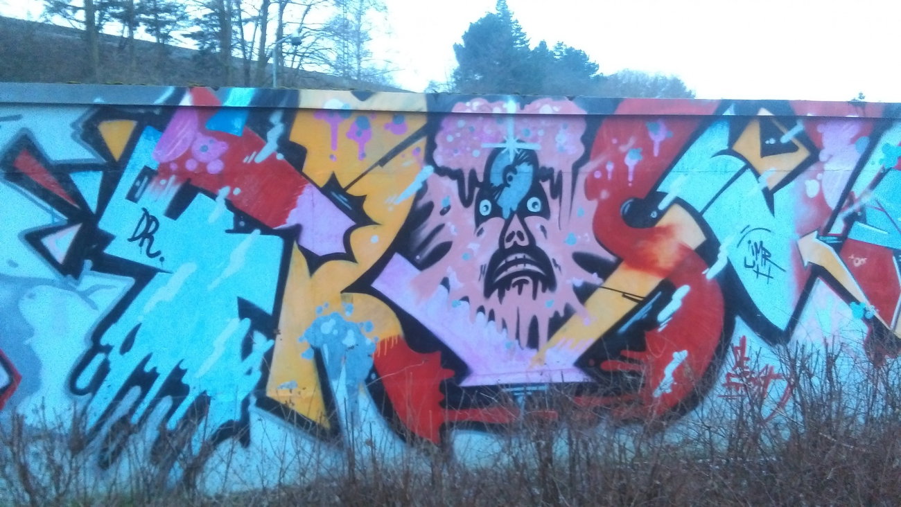 Graffiti Wall - Photo by Hallunken - FROST