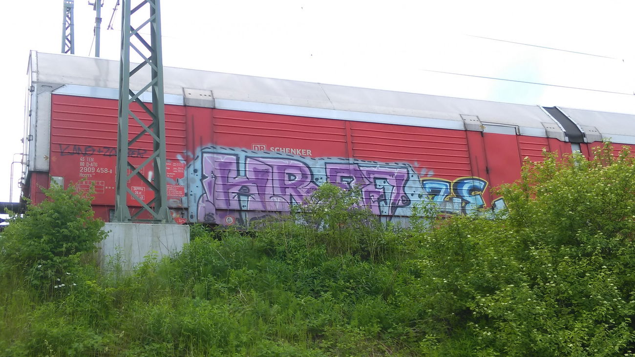 Graffiti Train - Photo by Hallunken - HREF
