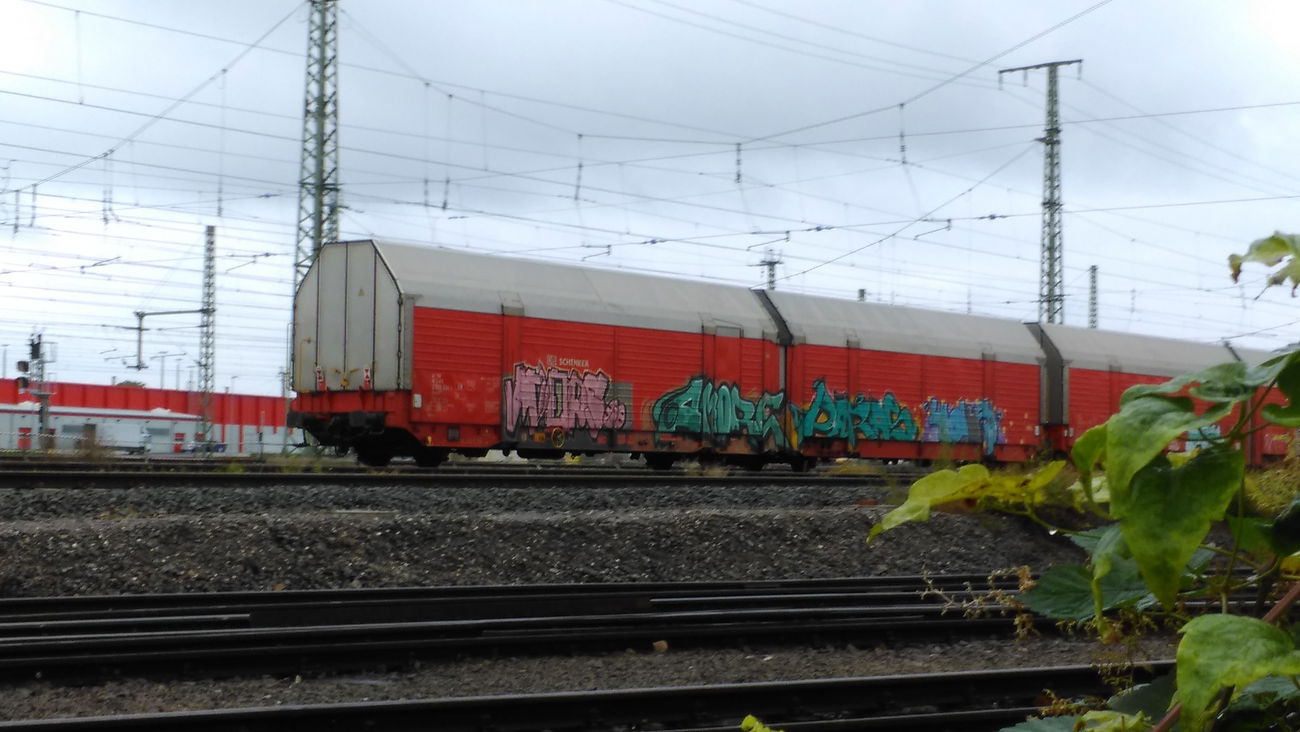 Graffiti Train - Photo by Hallunken - MOPS, AMORE, PARAS (2016)