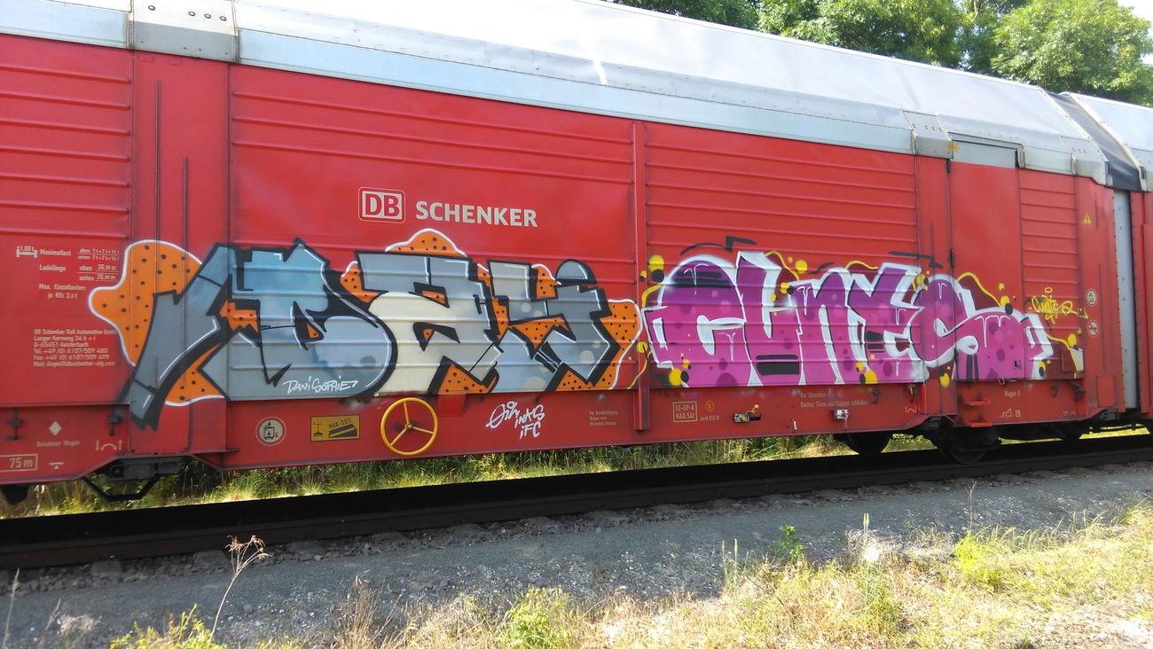 Graffiti Train - Photo by Hallunken - day, Cunts