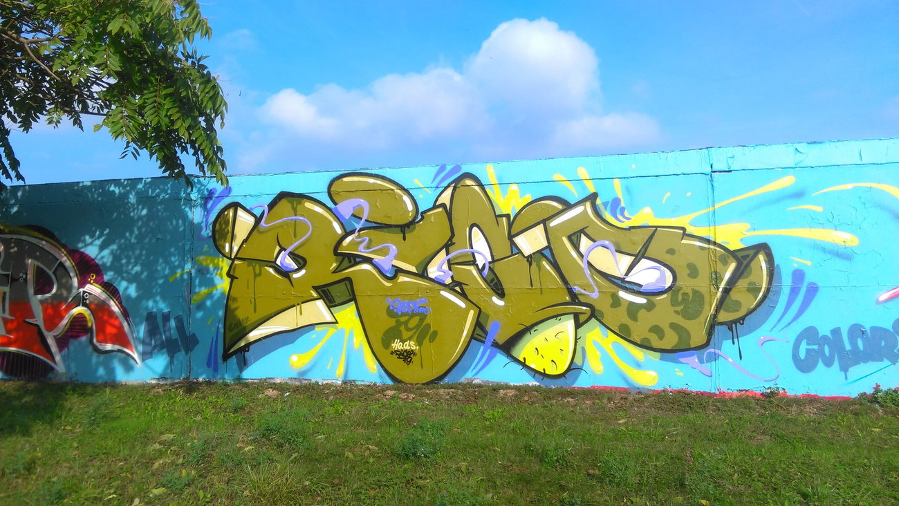 Graffiti Wall - Photo by Hallunken - RICO (2016)