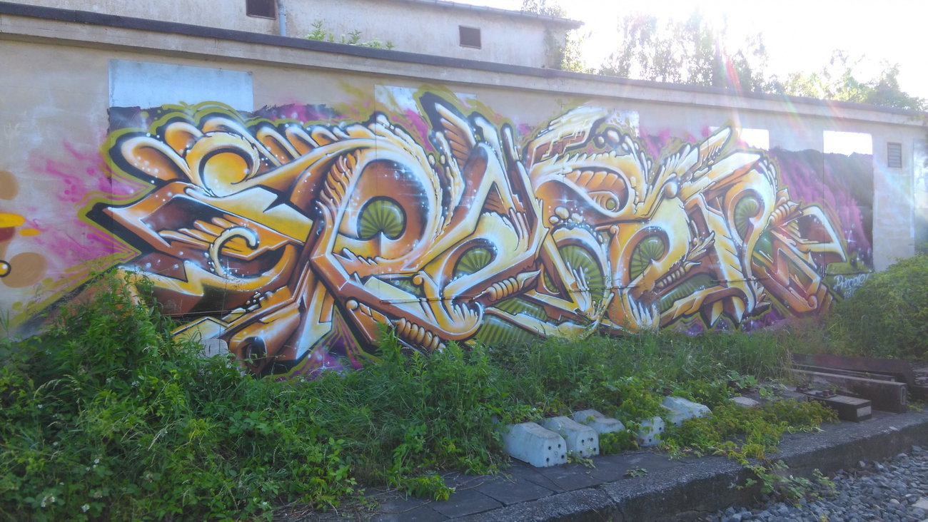Graffiti Wall - Photo by Hallunken - Reset (2016)
