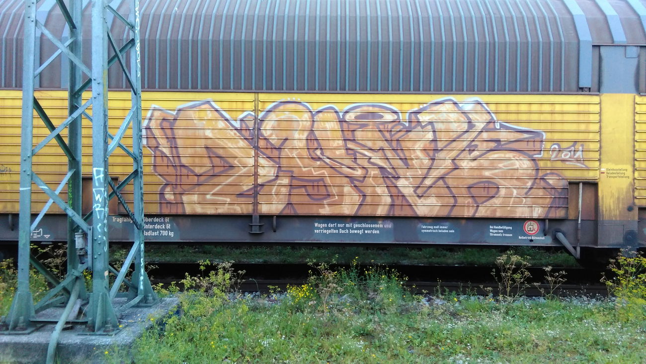 Graffiti Train - Photo by Hallunken - Zynk
