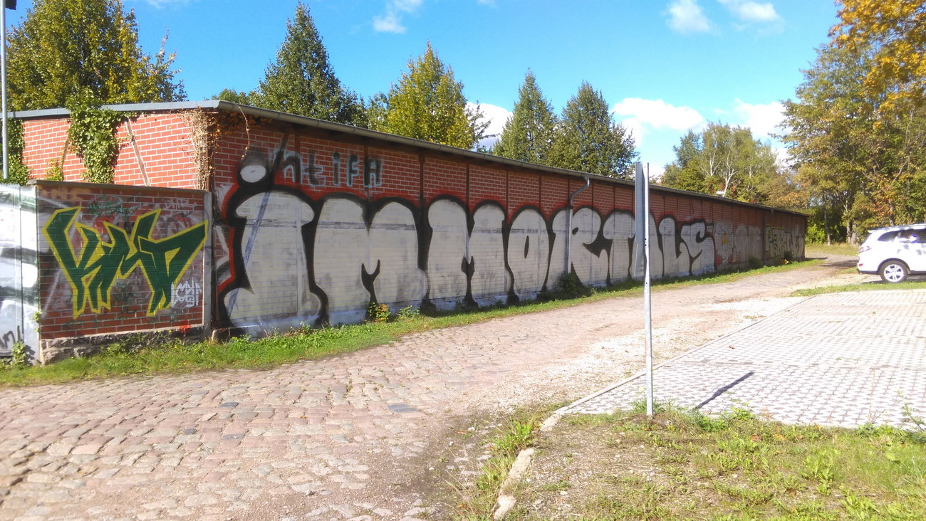 Graffiti Wall - Photo by Hallunken - IMMORTALS (2016)