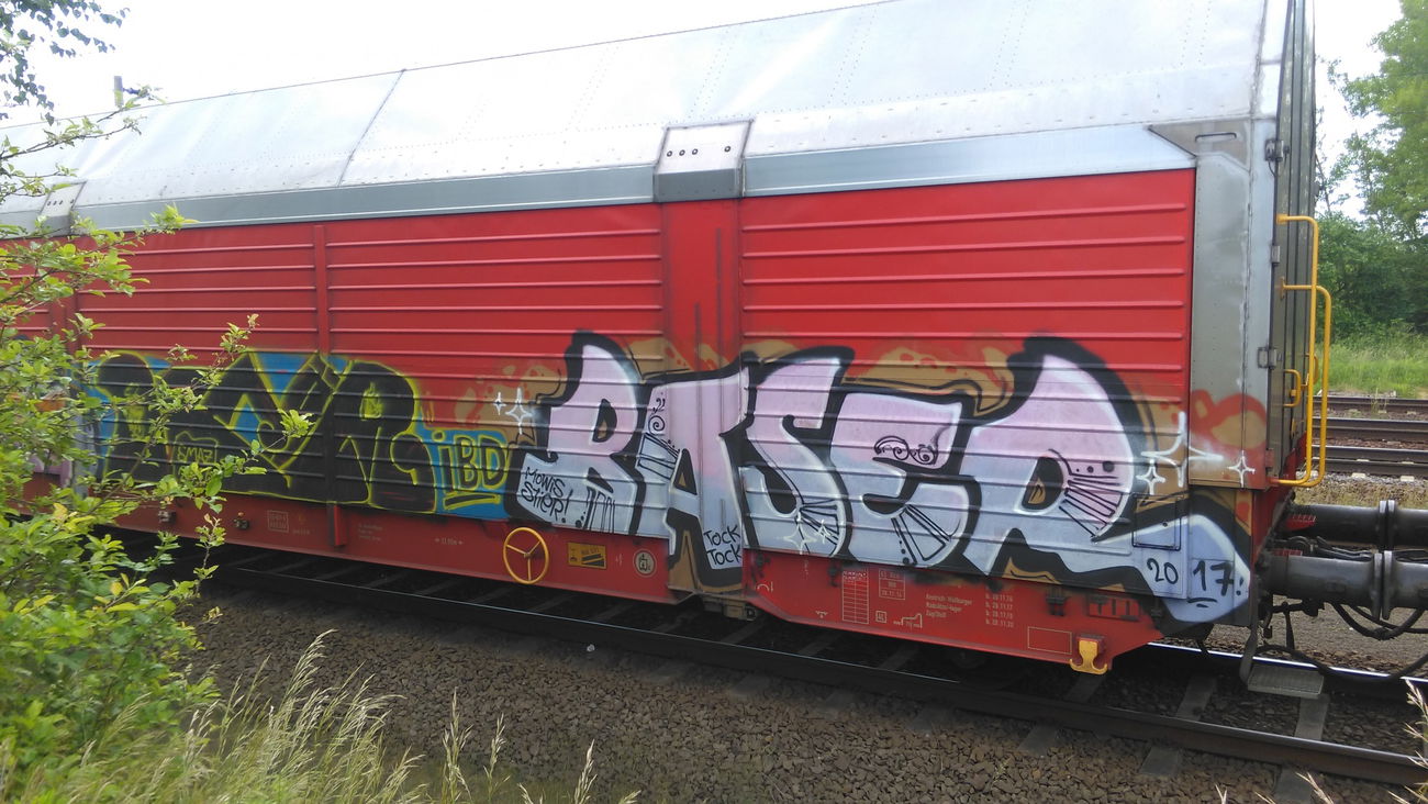 Graffiti Train - Photo by Hallunken - Baser