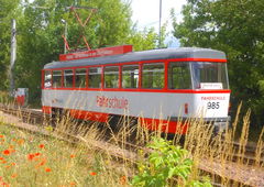 Graffiti Train - Photo by Hallunken (2017)