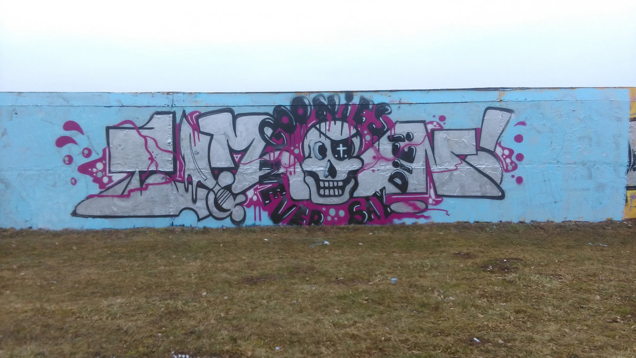 Graffiti Wall - Photo by Hallunken - TIMON (2017)