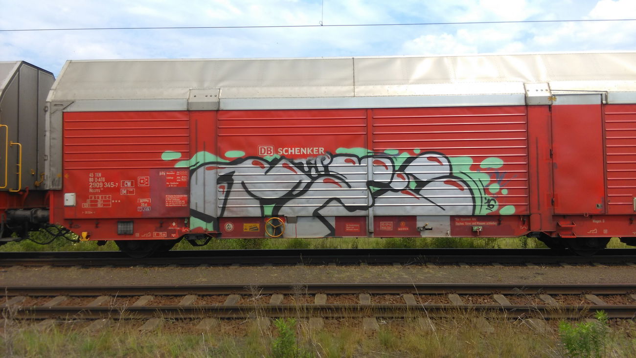 Graffiti Train - Photo by Hallunken