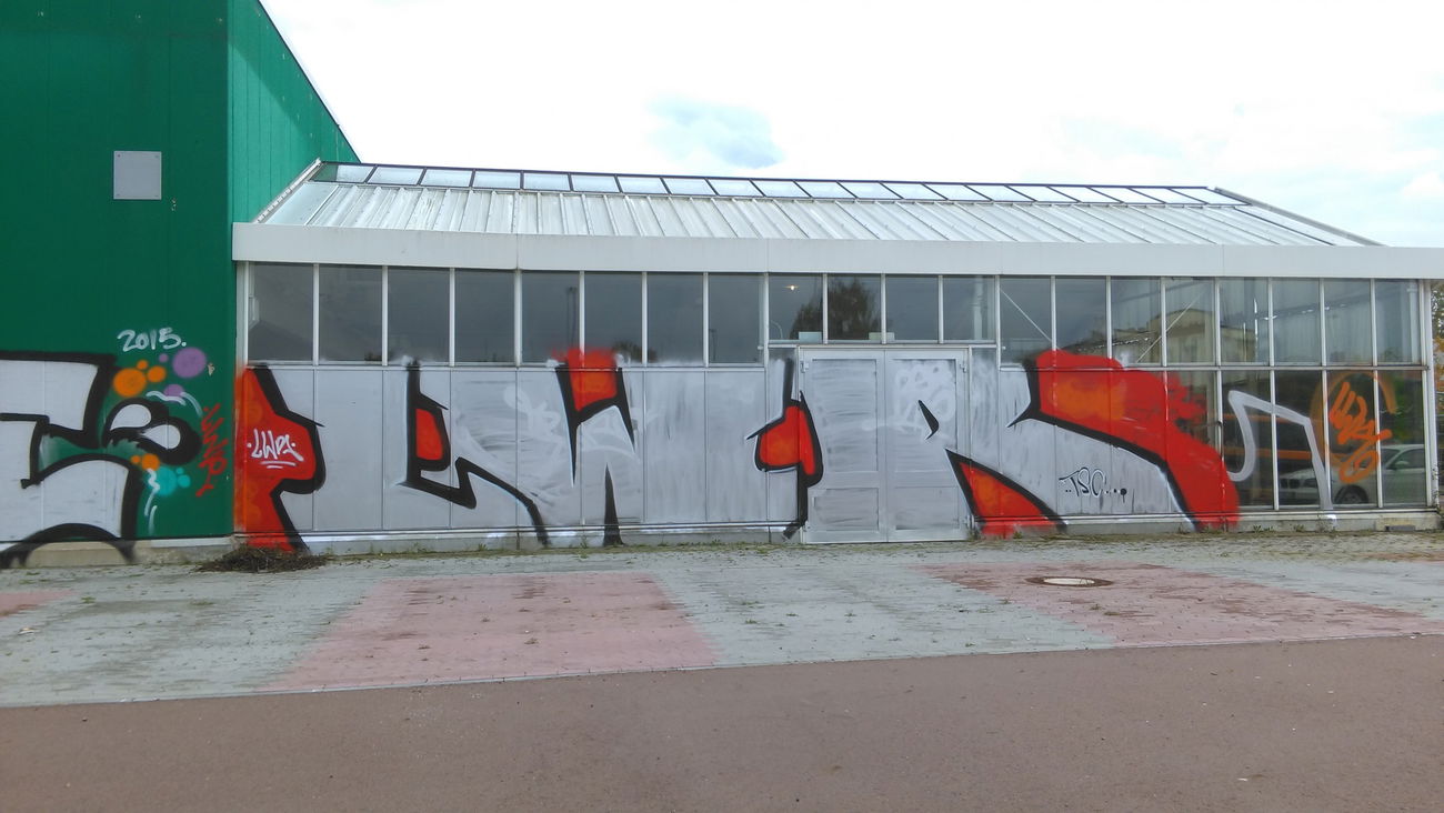 Graffiti Bombing - Photo by Hallunken - LWR (2016)