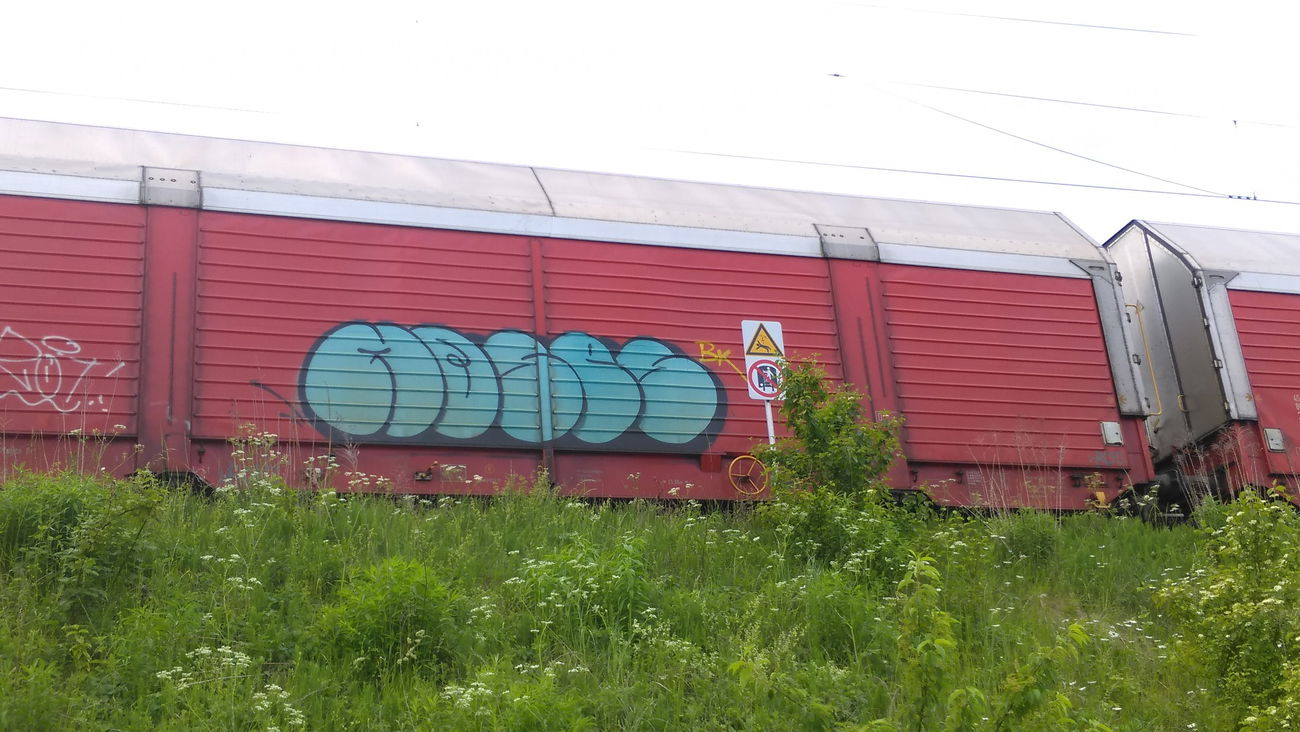 Graffiti Train - Photo by Hallunken - Moses