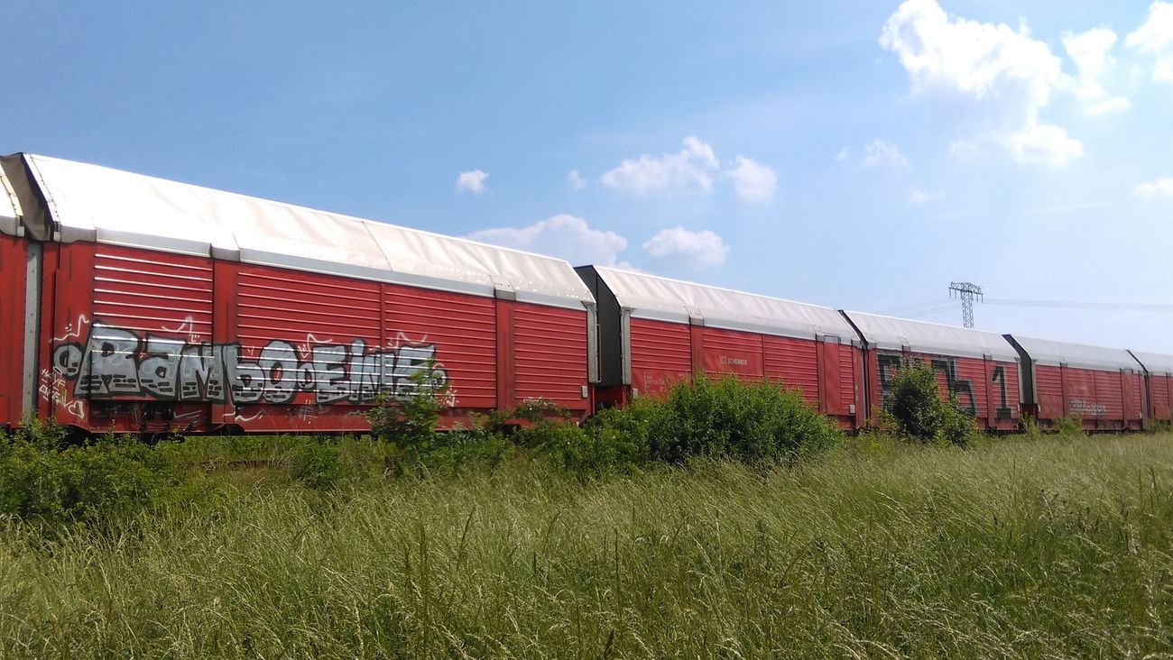 Graffiti Train - Photo by Hallunken - RAMBO, EIMS