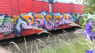Graffiti Train - Photo by Hallunken - Baser